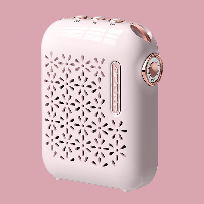 T26 professional amplifier